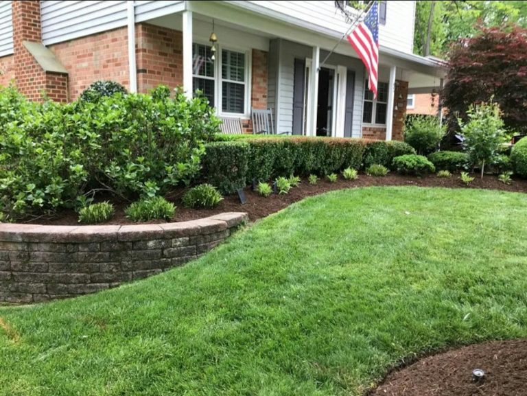 A freshly cut front lawn with landscaped beds in front of a home