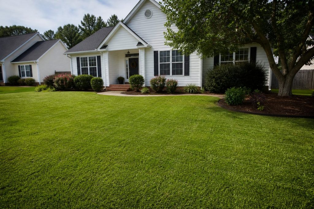Healthy residential front lawn suited for practical lawn care recommendations in New London, North Carolina